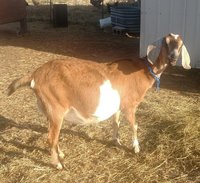 IMG_20180319_093704.jpg