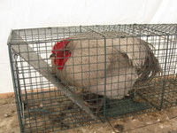 IMG_3700.JPG