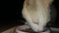 20180207_224213.jpg