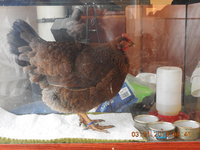 DSCN0900.JPG