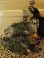 20180321_083622.jpg
