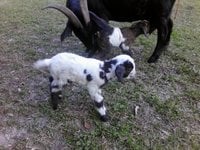 IMG_20170121_162507.jpg