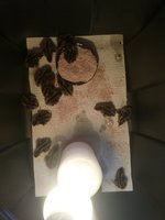 20180321_110029.jpg