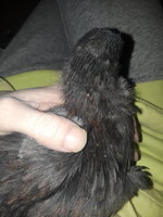 20180321_174559.jpg