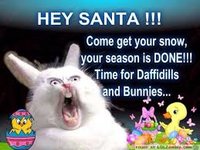 28007A12-051E-4EFF-9D2E-0E3A8C776274.jpeg