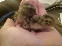 20180321_185211.jpg