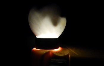 DSCN6830 (Large).JPG
