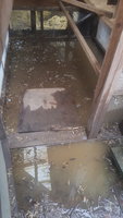 20180322_075333.jpg 20180322_075333.jpg