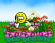 Spring Flowers.gif