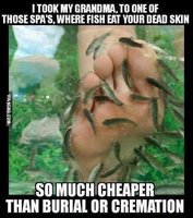 DEB79363-EE63-4B4C-8DAE-DD4C376BC139.jpeg