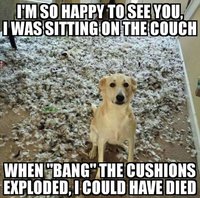 a84d57da11cd063c0afa321563c5a100--animal-quotes-animal-funnies.jpg