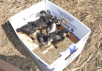 1 first look at the outdoors.jpg