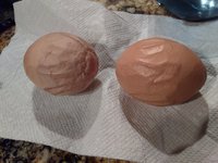 Comet Eggs2.jpg