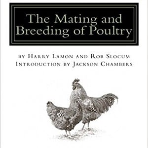 The Mating and Breeding of Poultry