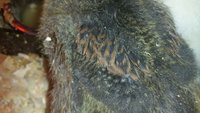 20180323_195427.jpg