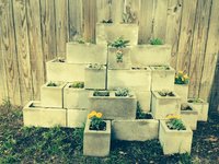 garden 2016.jpg