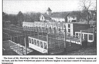 martling-hennery-house.jpg