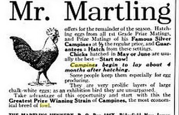 Country Life - May 1916 - Martling.jpg