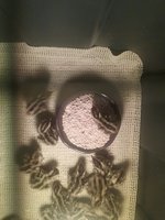 20180321_124418.jpg
