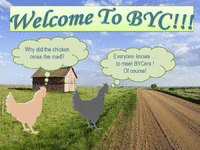 Welcome to BYC 2.gif