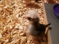 20180322_222501.jpg