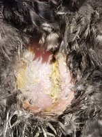 20180326_105532.jpg
