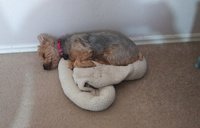 20180326_082250-1.jpg