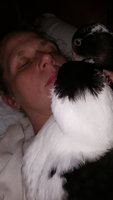 20170916_031445.jpg