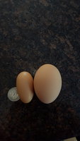 20180326_161734.jpg