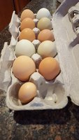 20180326_163811.jpg