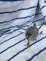 IMG_2875.JPG