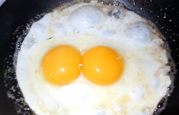 Double yolk egg for byc.jpg