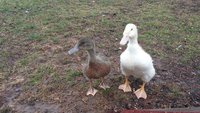 20180327_153934.jpg