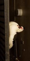 20180327_035253.jpg