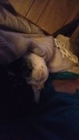 20180224_072018.jpg