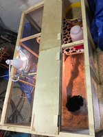 IMG_0467.JPG