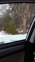 20180321_145922.jpg