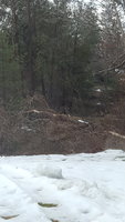 20180328_090253.jpg
