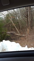 20180328_090319.jpg