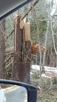 20180328_090341.jpg