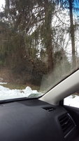 20180328_090352.jpg
