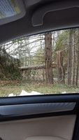 20180328_090402.jpg