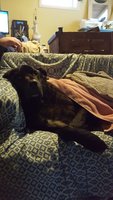 20180328_164003.jpg