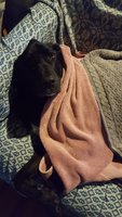 20180328_164328.jpg