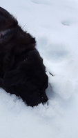 20180328_140039.jpg