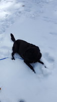 20180328_140050.jpg