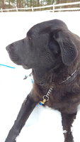 20180328_140133.jpg