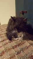 20180328_185510.jpg