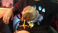 20180323_185339.jpg