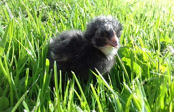 20170928_121831.jpg